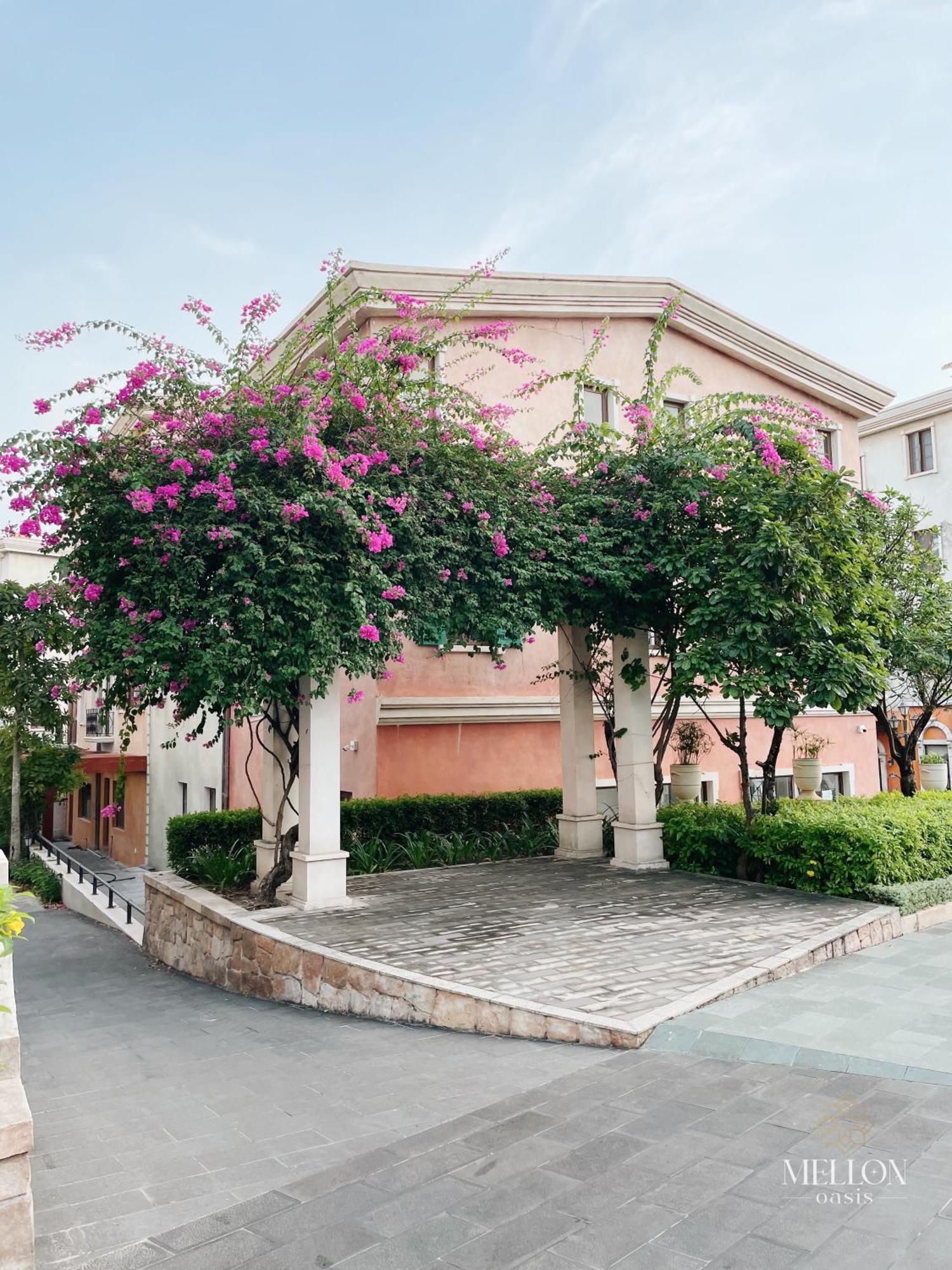 فندق Mellon Oasis دونغ دونغ المظهر الخارجي الصورة